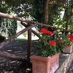 Agriturismo Il Mulino Del Vescovo Lantgård *