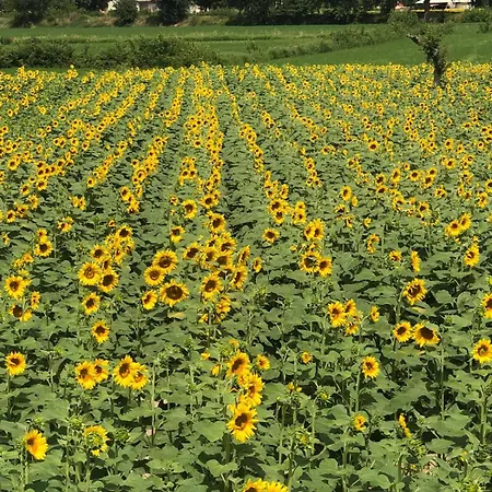 Il Mulino Del Vescovo Farm stay