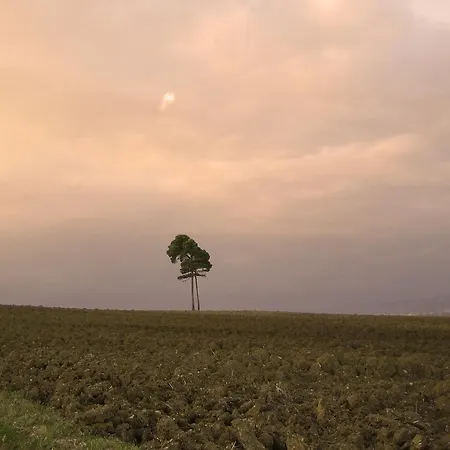Farmház Il Mulino Del Vescovo