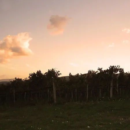 Il Mulino Del Vescovo * Giano dell'Umbria