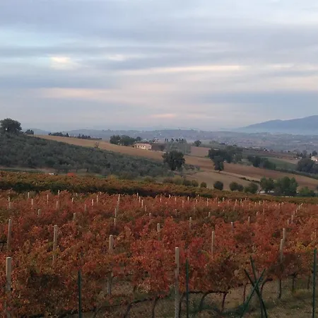 Il Mulino Del Vescovo