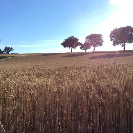 Il Mulino Del Vescovo * Giano dellʼUmbria