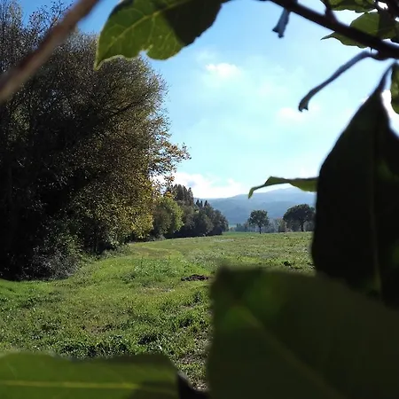 Il Mulino Del Vescovo *