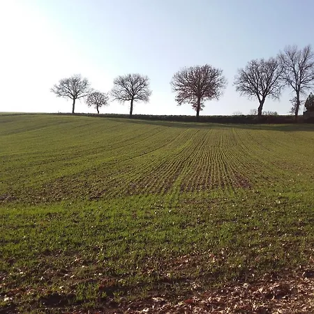 Il Mulino Del Vescovo Agroturismo *